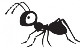家里爬蚂蚁是怎么回事 蚂蚁在家里爬怎么办
