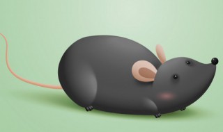 家里闹老鼠怎么解决（家里老鼠太吵了怎么办）