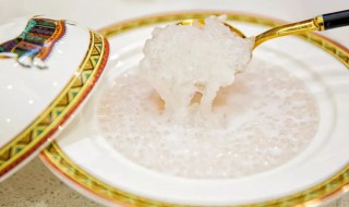 椰子燕窝做法（椰肉燕窝做法）