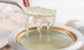 牛奶冰糖炖燕窝的做法 牛奶冰糖炖燕窝的功效与作用