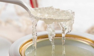 燕窝炖奶的做法，水牛奶炖燕窝的做法