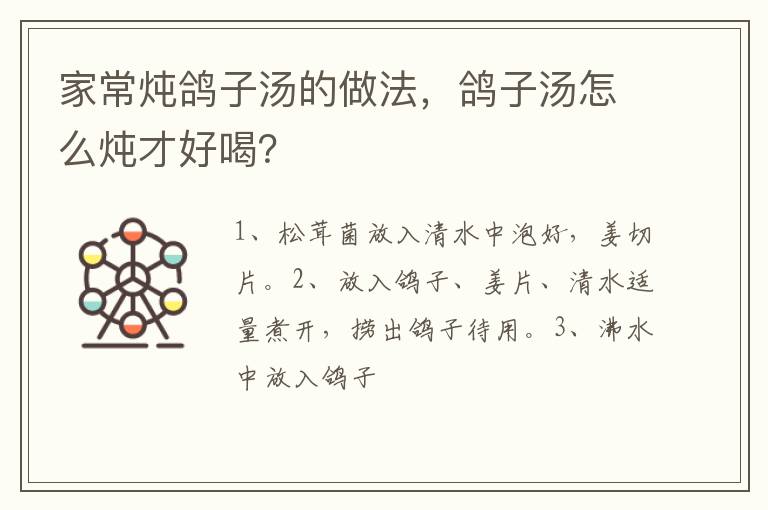 家常炖鸽子汤的做法，鸽子汤怎么炖才好喝？