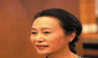 宝灵魏市长是什么电视剧 宝灵魏市长的电视剧介绍