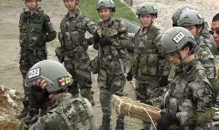 特种兵之火凤凰演员表 这部剧主要讲述了什么