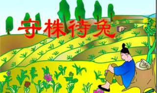 守株待兔这一课的笔记是什么? 看完这篇读书笔记就明白了