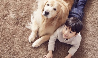 小孩子适合养什么宠物，小孩子适合养什么宠物猫?