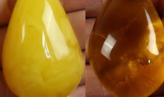 蜜蜡琥珀区别 蜜蜡和琥珀什么区别