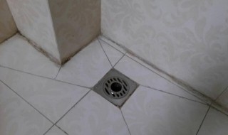 卫生间地漏反水怎么办 卫生间马桶边上的地漏反水怎么办