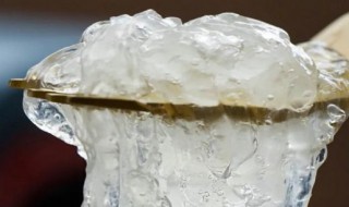 即食燕窝如何保存 即食燕窝打开后的储存方法