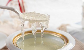 雪燕是燕窝吗（雪燕是燕窝么）