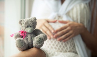 孕妇吃燕窝的做法大全家常（孕妇吃的燕窝的做法与吃法）